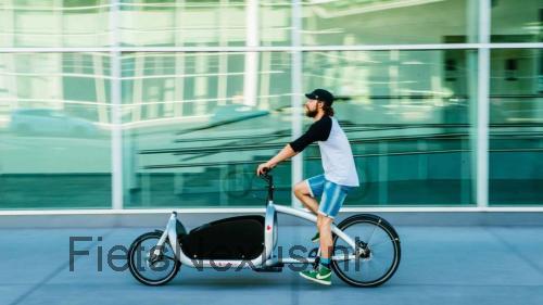 Triobike Cargo S specificaties 
